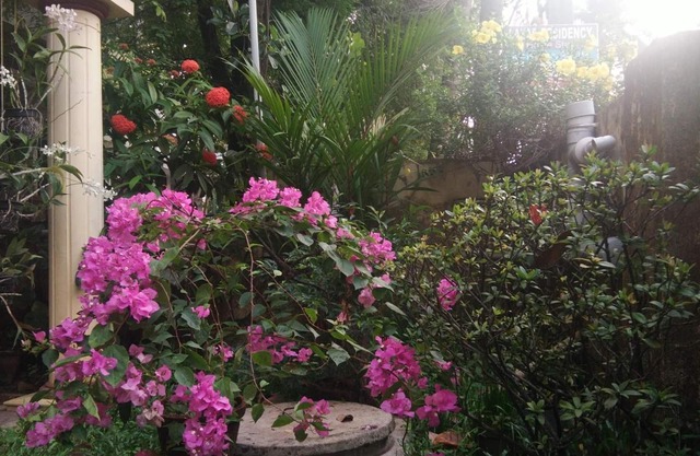 Lazar Residency Homestay