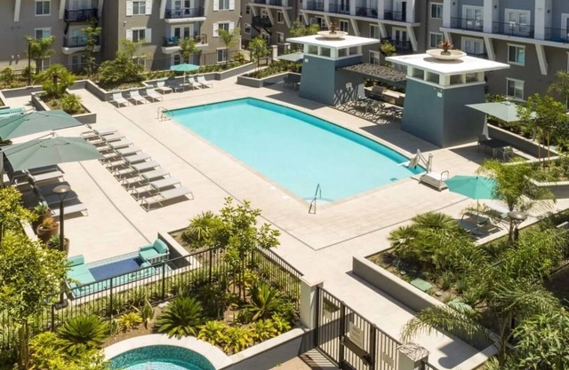 LBC Cozy Suite -Downtown! Beach!Centrally Located!