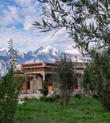 Lchang Nang Retreat-THE HOUSE OF TREES-Nubra Valley