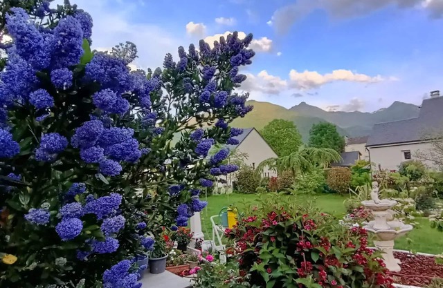 Le Balcon des Cimes
