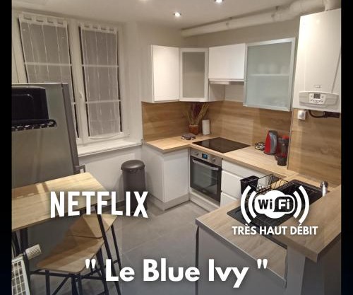 Le Blue IVY Hyper centre 2 chambres Tout équipe