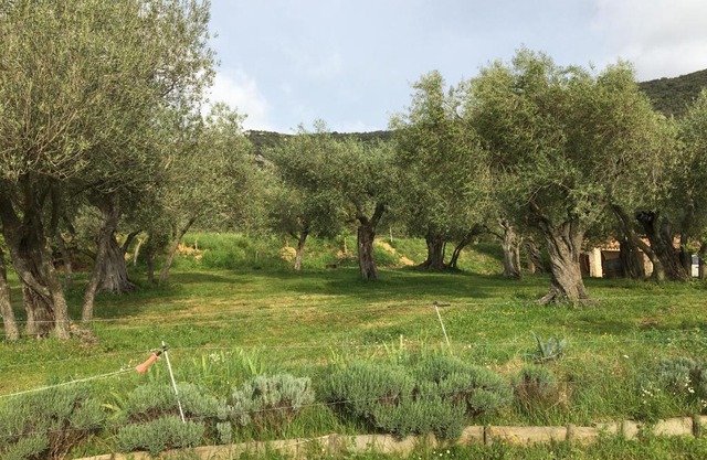 Le Camping de Cucugnan