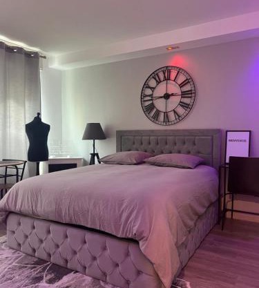 LE CARRÉ STRASBOURGEOIS - LOGEMENT ENTIER AU CENTRE DU NEUDORF f1