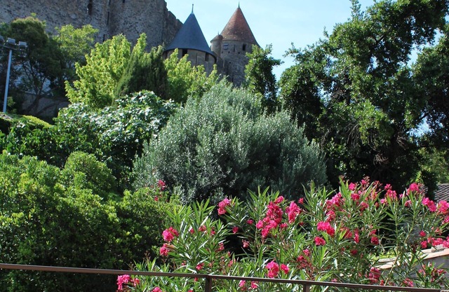 Le Cellier de Beaulieu, son Jacuzzi et la Cité de Carcassonne