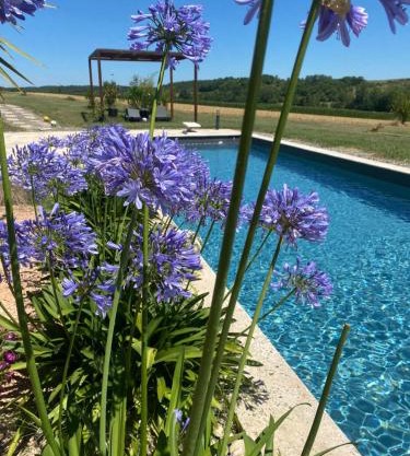 Le clos du Broca