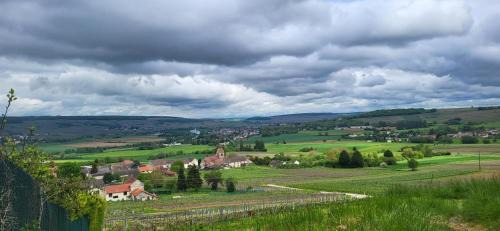 Le Coq De Champagne