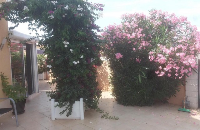 le gardénia
