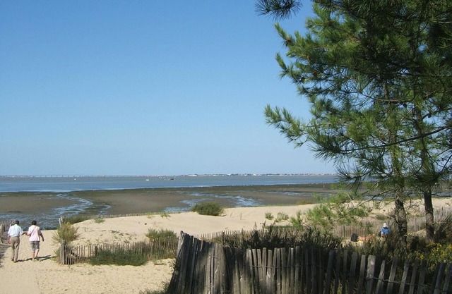 Le Héron Cendré