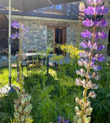 LE LODGE, Pyrénées 2000 - Jardin, très calme, espace rangement