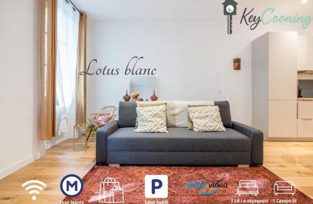 Le Lotus Blanc - Hypercentre A 10 min du métro
