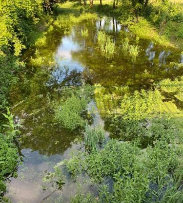 Le Moulin de Chambon