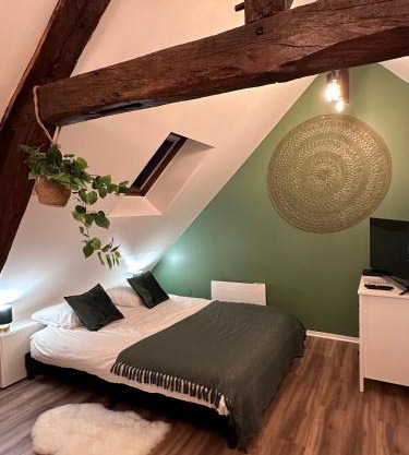 Le Nid Douillet - Hypercentre - Studio