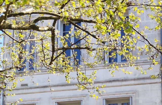 Le Prince de Cognac