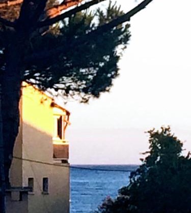 Le P’tit Littoral