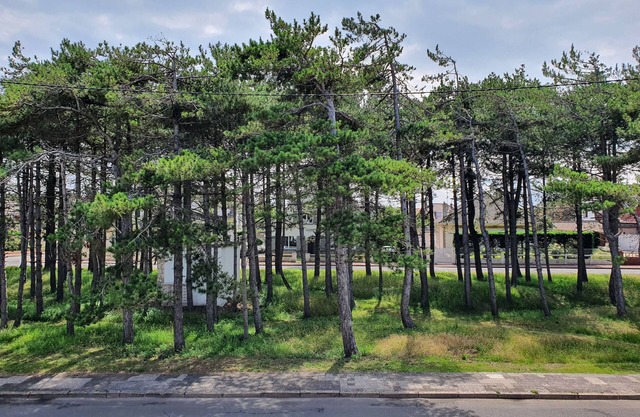 Le Touquet, Ap 67 m2, 2 Chambres, Secteur Quentovic, 5 min Plage et Centre