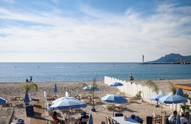 Le XV Cannes