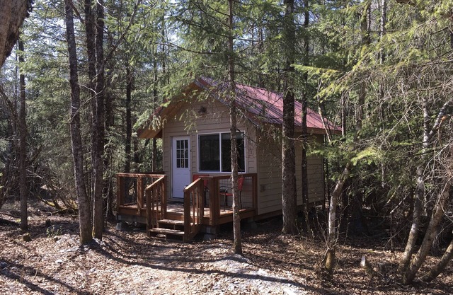 Leafy & Enchanting Fern Cabin6 W/Queen Bed
