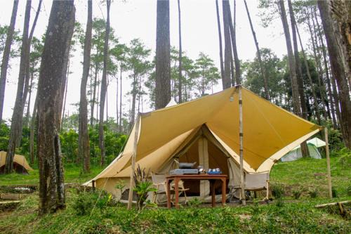 Lembah Pinus Cikole
