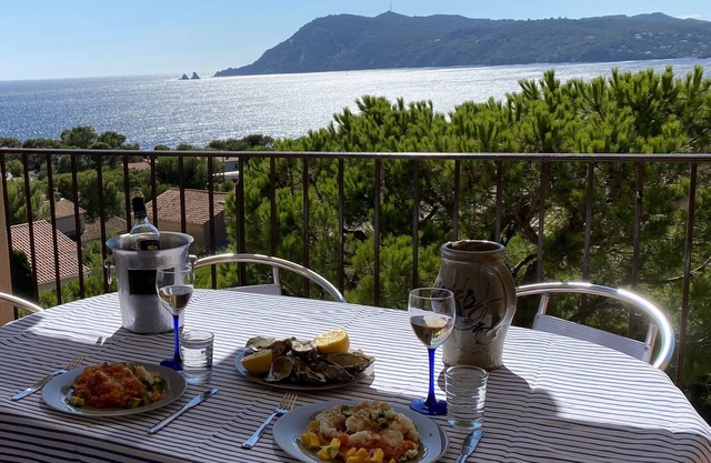 [Les 2 frères] Panoramic sea view + solarium + pools + air conditioning