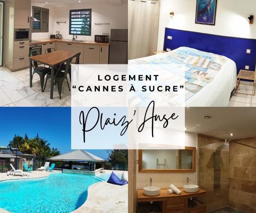 Les Cannes à Sucre de Plaiz'Anse