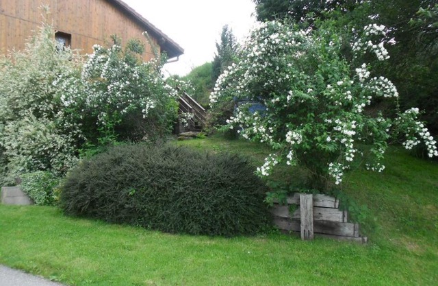 LES GALLINACES