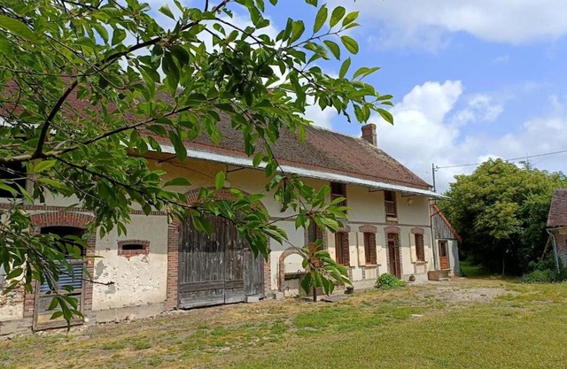 Les hirondelles