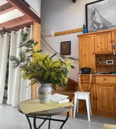 LES MIMOSAS