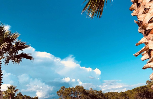 Les Parasols d'Argens