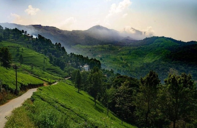 Linten Holiday Resort, Property set in Munnar.4.7km from MUNNAR Town