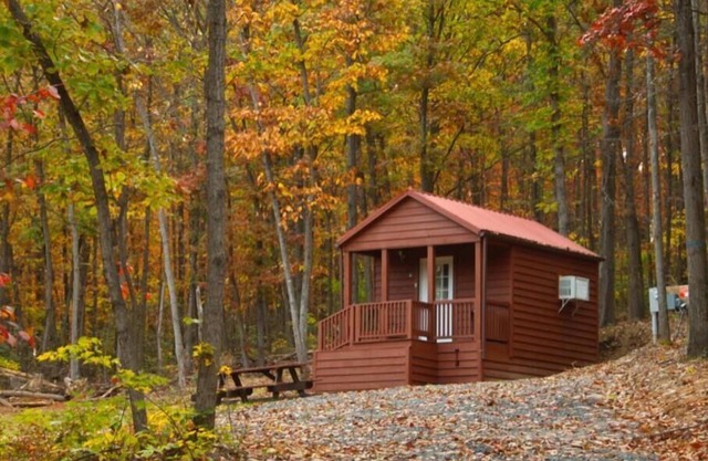 Little Bitty Cabin