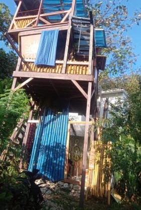 little treehouse