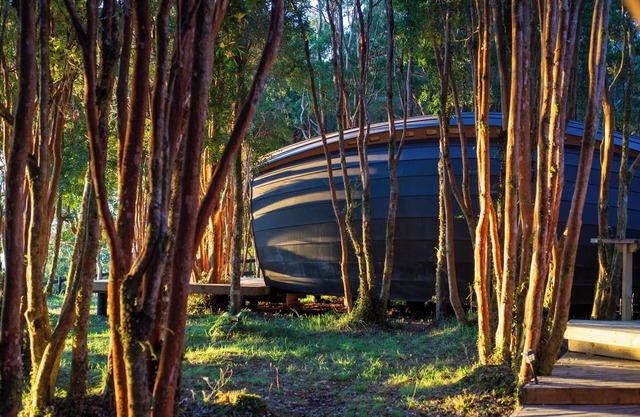 Live the adventure on a remote island of the world.