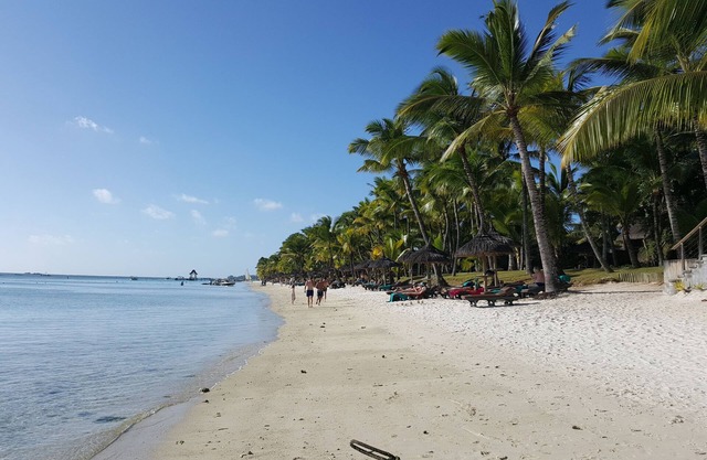 Location appartement mer 1à 2 pers 250m Trou aux biches et 500m Mon choisy plage