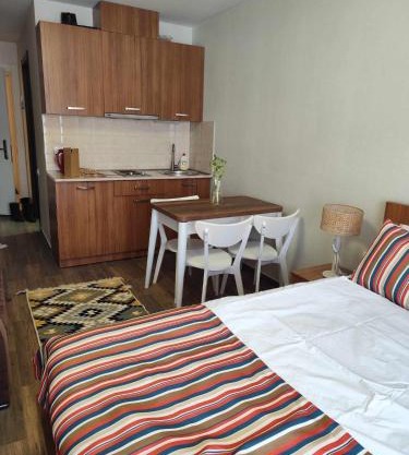 Loft 2 apartments in New Gudauri
