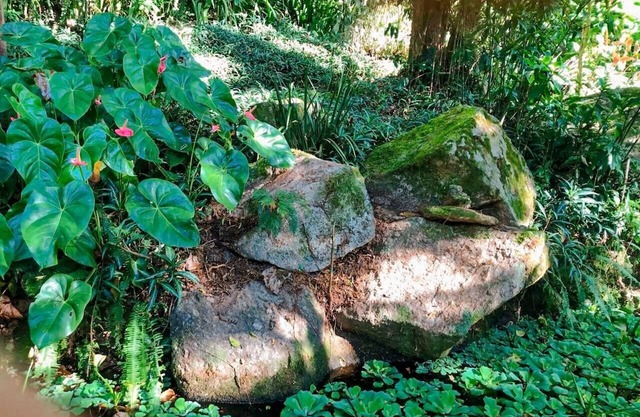 Loft Aconchegante em Meio à Natureza