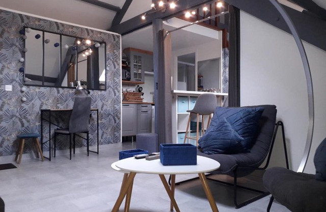 Loft Haut de Gamme Centre Montargis, Place de Parking, Local à vélos, Linge de lits et serviettes, coin rivière amenagé, Hamac, Épicerie, Vélos en option, Tout confort jusqu'à 4 voyageurs