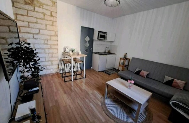 Logement HYPER cosy gare St Roch