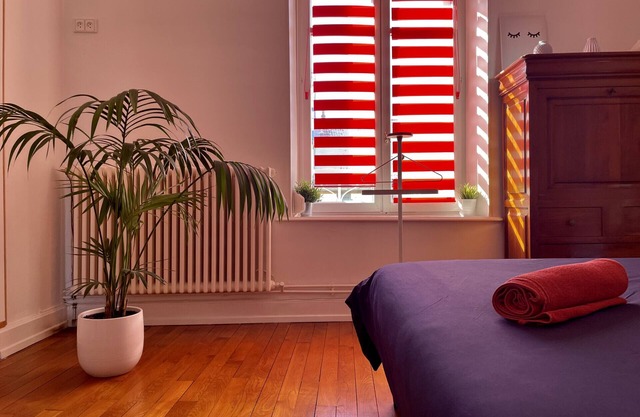 Louis : Charming 2 bedroom flat in the centre of Vittel (free parking)