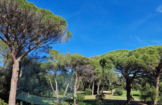 Lovely 2-room apartment in a green setting 10 minutes from the beaches of Saint Raphael.