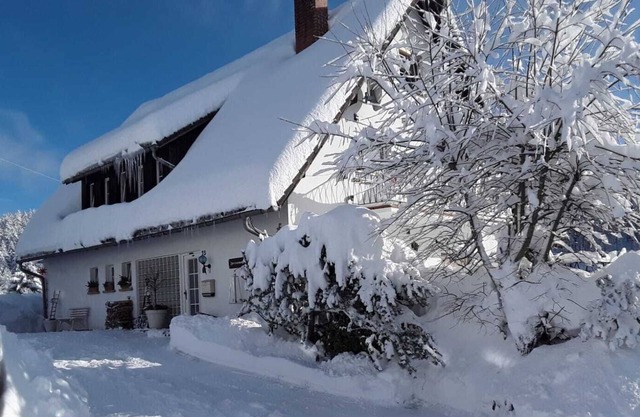 Lovely furnished apartment within minutes of forest, ski lift