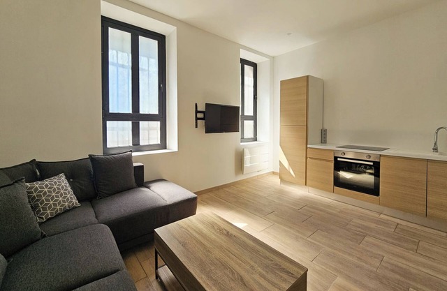 Lovely renovated studio in city center near tramway
