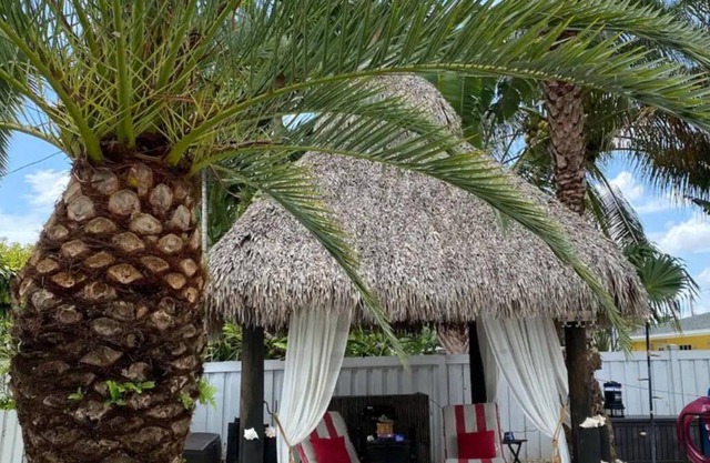 🌺Luxe Tropical Paradise🌺Superhost🌺Post-Op 🌺Solo & Couples Escape in Miami🌺