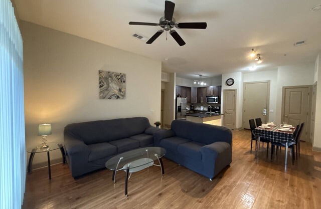 Luxurious Apartment near Texas Medical Center