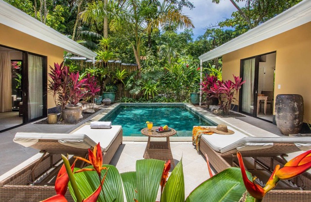 Luxury and Privacy 3 King Suites Central Location