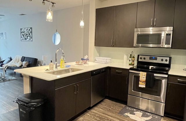 Luxury apartment in Buckhead Atlanta with Skyline View