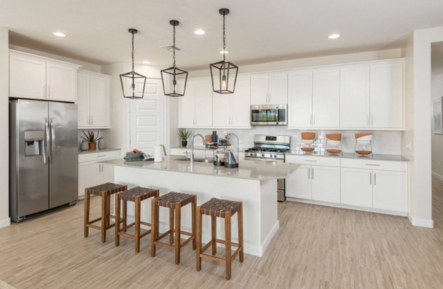 Luxury! Brand new home in safe-gated community!