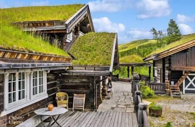 Luxury Cabin at Nesfjellet with sauna, bbq, close to ski & golf