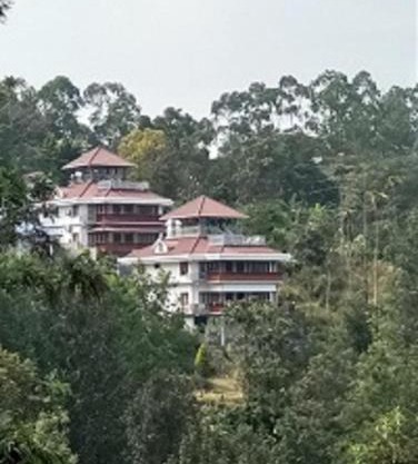 Luxury cottages with beautiful mountain view