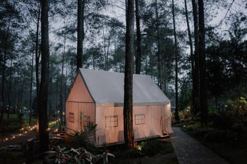 Luxury Deck Cabin