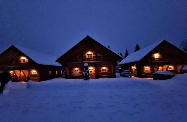 Luxury holiday home No. 1 top location on the Feldberg sauna outdoor hot tub fireplace